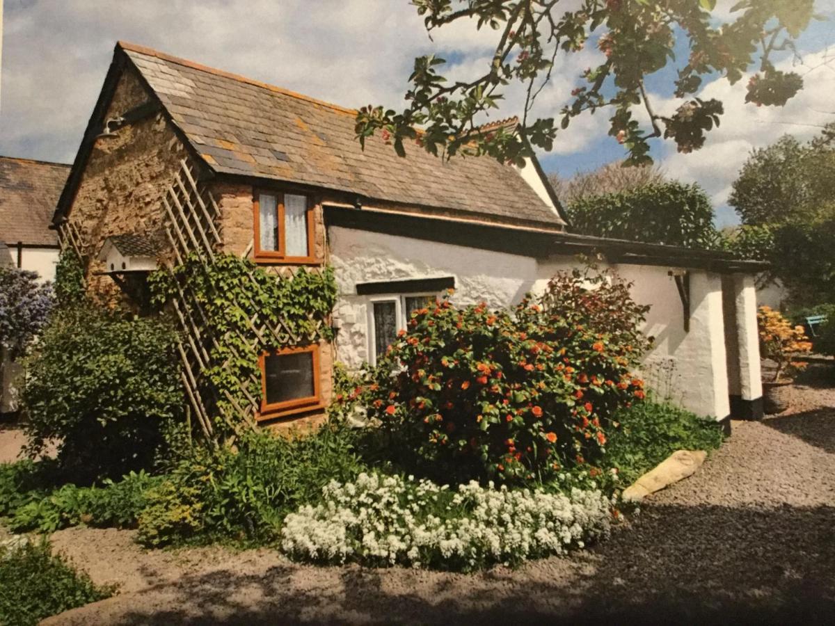 Steps Farmhouse B&B Minehead Exterior photo