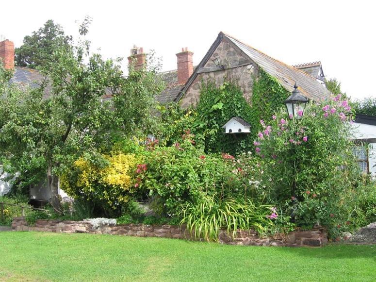 Steps Farmhouse B&B Minehead Exterior photo