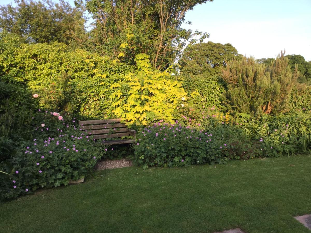 Steps Farmhouse B&B Minehead Exterior photo