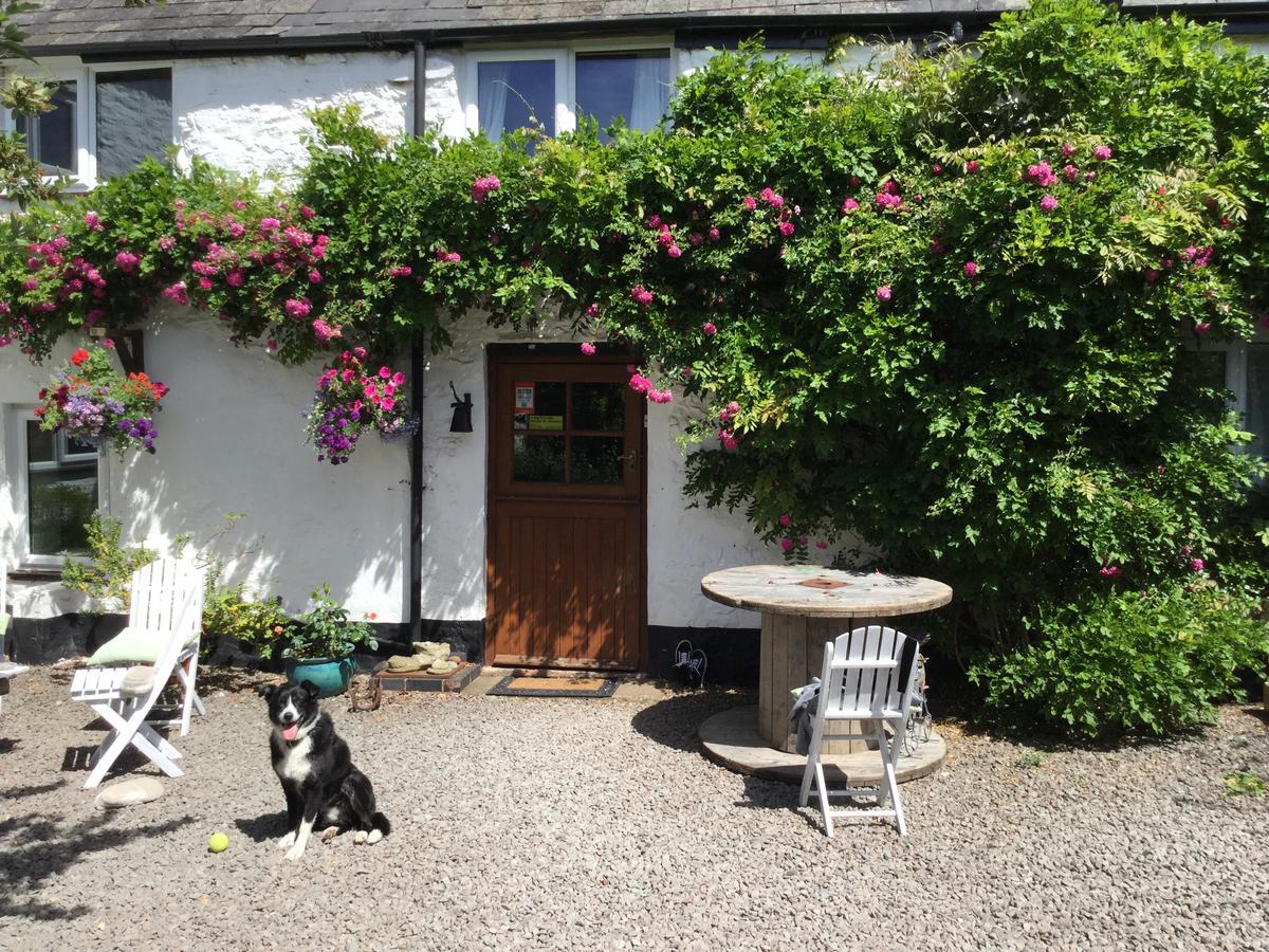 Steps Farmhouse B&B Minehead Exterior photo